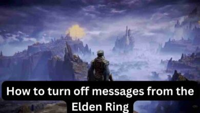 How to turn off messages from the Elden Ring 3 How to turn off messages from the Elden Ring