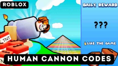 Human Cannon Codes: Latest Codes (July 2025) 2 Human Cannon Codes