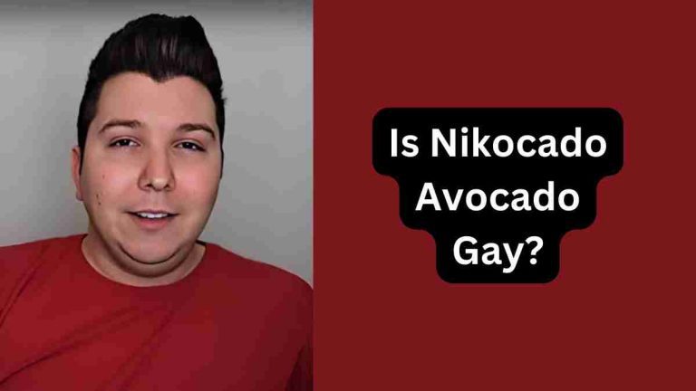 Is Nikocado Avocado Gay