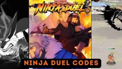 Ninja Duel Codes