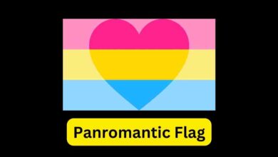 Panromantic Flag, Community, Pansexual and more 5 Panromantic Flag