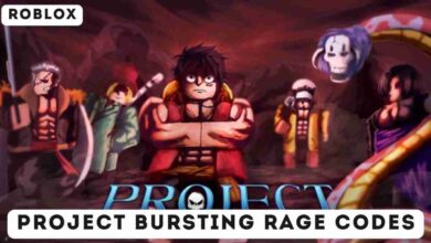 Project Bursting Rage Codes: Latest Codes (July 2025) 3 Project Bursting Rage Codes