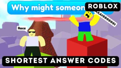 Shortest Answer Codes