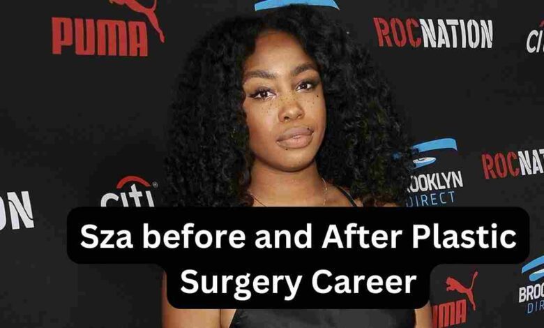 Sza before and After Plastic Surgery Career