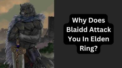 Why Does Blaidd Attack You In Elden Ring? 5 Why Does Blaidd Attack You In Elden Ring?