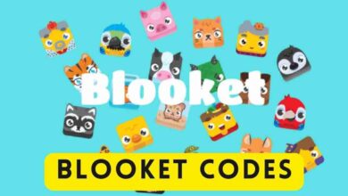 Blooket Codes