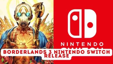 Borderlands 3 Nintendo Switch