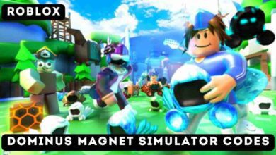 Dominus Magnet Simulator Codes