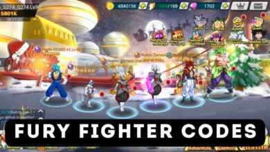 Fury Fighter Codes