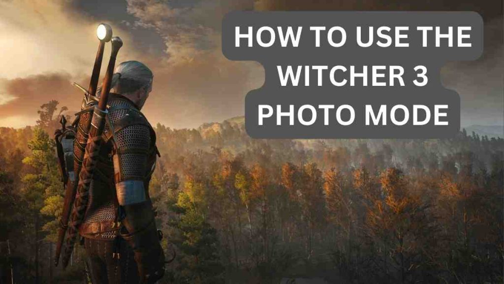 HOW TO USE THE WITCHER 3 PHOTO MODE