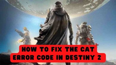 How to Fix the CAT Error Code in Destiny 2 4 How to Fix the CAT Error Code in Destiny 2