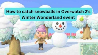 How to catch snowballs in Overwatch 2's Winter Wonderland event