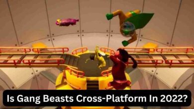 Is Gang Beasts Cross-Platform In 2025? 4 Is Gang Beasts Cross-Platform In 2022?