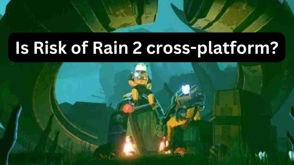 Is Risk of Rain 2 cross-platform?