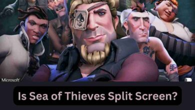 Is Sea of Thieves Split Screen? 2 Is Sea of Thieves Split Screen?