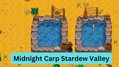 Midnight Carp Stardew Valley