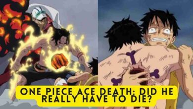 One Piece Ace Death