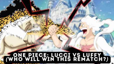 One Piece Lucci vs Luffy