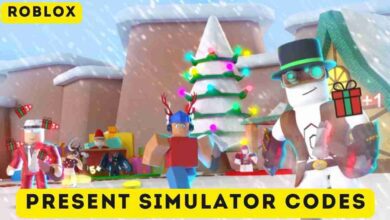 Present Simulator Codes