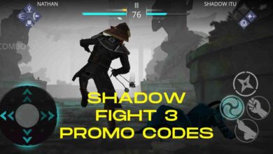 Shadow Fight 3 Promo Codes