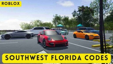 Southwest Florida Codes: Latest Codes (August 2025) 2 Southwest Florida Codes
