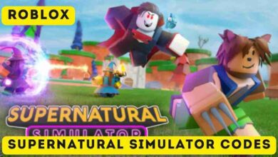 Supernatural Simulator Codes