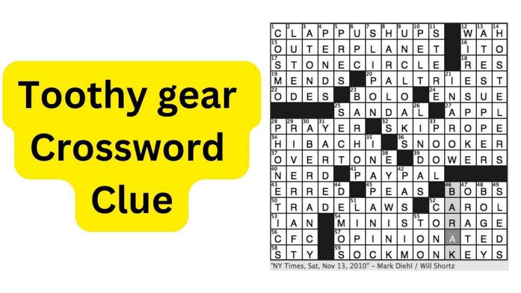 Toothy gear Crossword Clue December 2022
