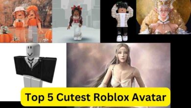 Top 5 Cutest Roblox Avatar