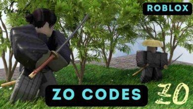 Zo Codes