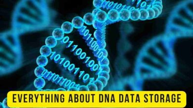 DNA data storage