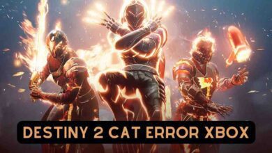 Destiny 2 Cat Error Xbox: How To Fix Error Code Cat? 1 Destiny 2 Cat Error Xbox