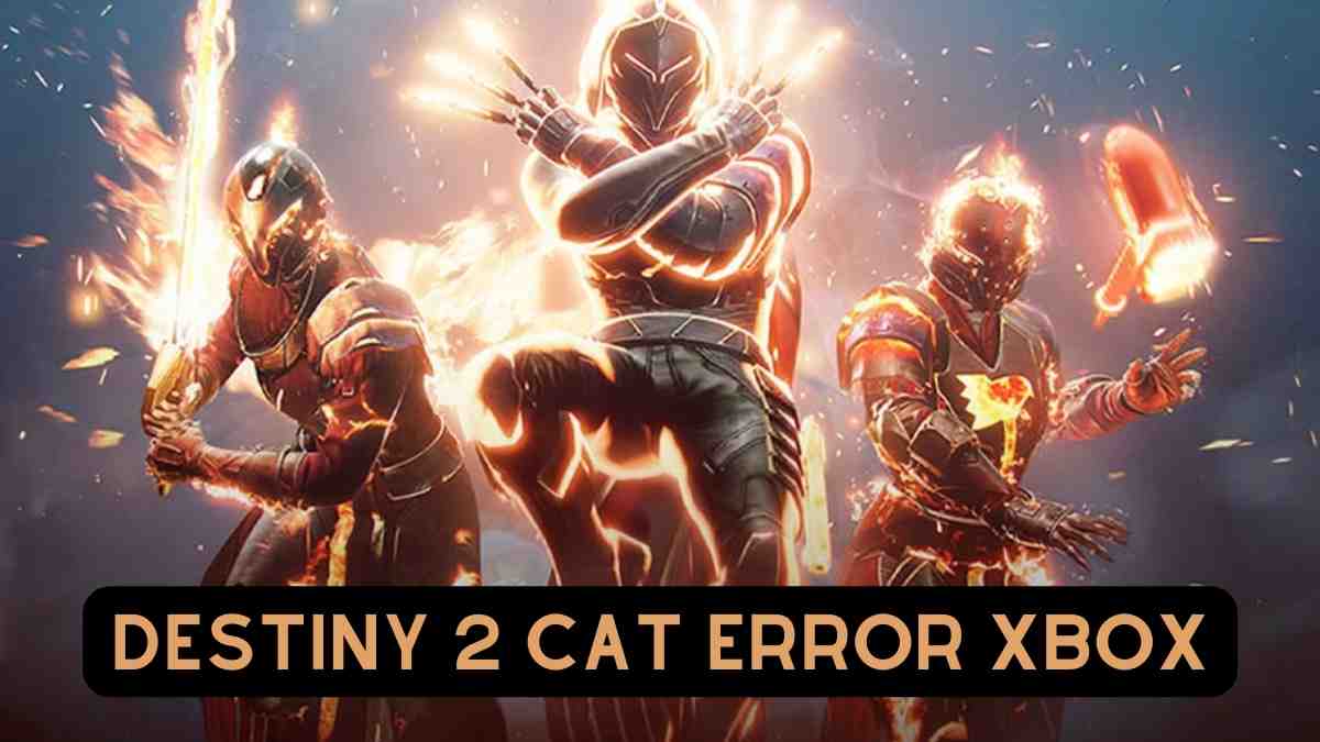 Destiny 2 Cat Error Xbox