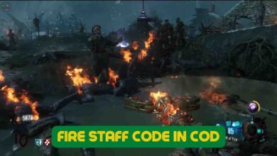Fire Staff Code In COD: Black Ops 3: Zombies Chronicles 5 Fire Staff Code In COD