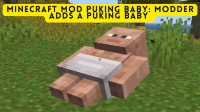 Minecraft Mod Puking Baby