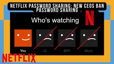 Netflix Password Sharing