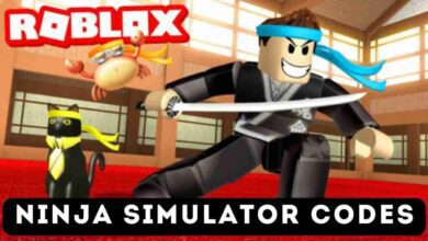 Ninja Simulator Codes