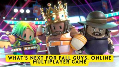 What's next for Fall Guys, Online Multiplayer Game 2 What's next for Fall Guys