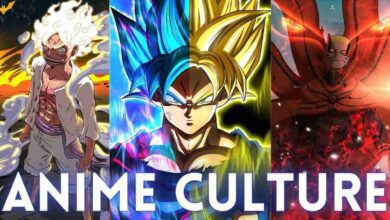 Anime Culture