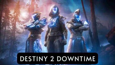 Destiny 2 Downtime