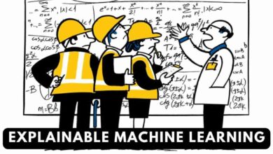 Explainable Machine Learning