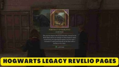 Hogwarts Legacy Revelio Pages