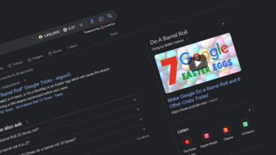 How to Play Google Game Like Do a barrel roll 20 times 2 Do a barrel roll 20 times