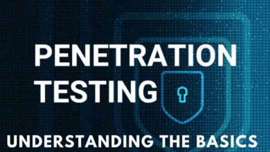 Penetration Testing: Understanding the Basics 2024 15 Penetration Testing