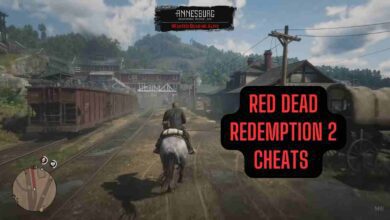 Red Dead Redemption 2 cheats: How to use? 5 Red Dead Redemption 2 cheats Codes