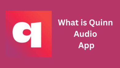 What is Quinn Audio App Code ? 2025 (Working Codes) 4 What is Quinn Audio App Code ? 2023 (Working Codes)