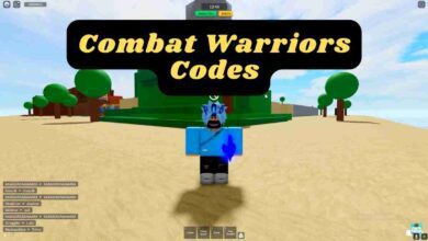 Combat Warriors Codes