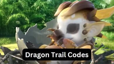 Dragon Trail Codes