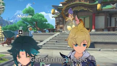 Genshin Impact 3.6 Live Stream Date and Time Suspected 2023
