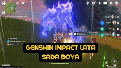 Genshin Impact Lata Sada Boya: A Guide to This Mysterious Quest 12 Genshin Impact Lata Sada Boya