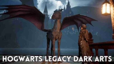 Hogwarts Legacy Dark Arts: Unforgivable Curses 4 Hogwarts Legacy Dark Arts